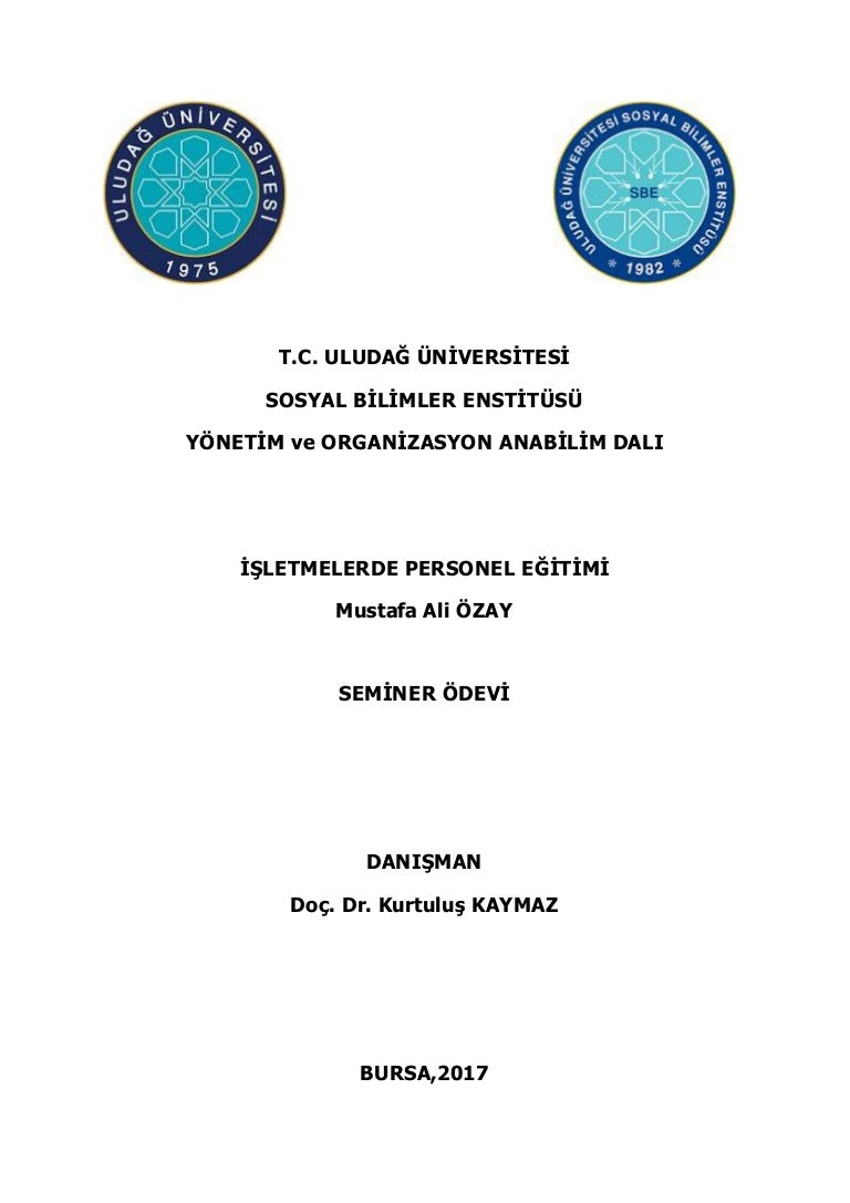 Zeytinyağlı Tavuklu Havuçlu Pırasa Yemeği-Poree Eintopf mit Hähnchenfleisch und Möhren 33